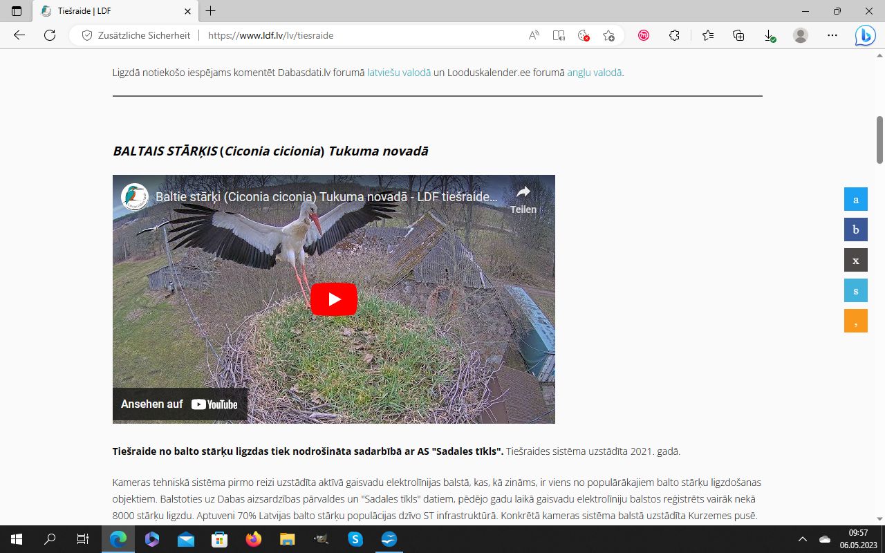 LDF-Livestream eines Storchennests, Screenshot